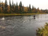 Foto de pesca con mosca