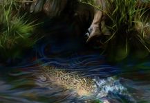 ROBERT CORSETTI - Artist 's Nice Fly-fishing Art Pic | Fly dreamers 