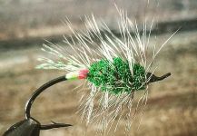 Fly-tying for Steelhead -  Image shared by Pablo Bianchini | Fly dreamers