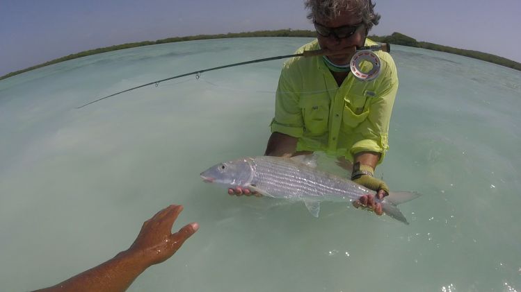 Double figure bonefish!