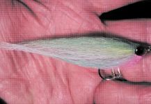 Inshore Flys