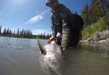 Kenai River, Cooper Landing, Alaska, United States