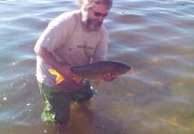 Claudio Romero 's Fly-fishing Catch of a Crucian carp | Fly dreamers 