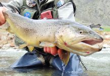 BERNET Valentin 's Fly-fishing Picture of a German brown | Fly dreamers 