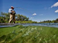 Fly fishing picture