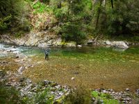 Fly fishing picture