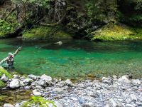 Fly fishing picture