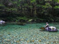 Fly fishing picture