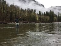 Fly fishing picture