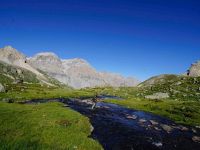 Fly fishing picture