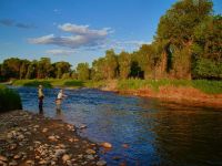 Fly fishing picture