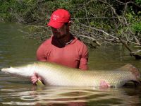 Fly fishing picture