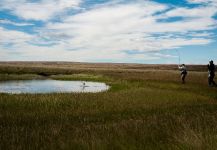 German brown Fly-fishing Situation – Juan Manuel Biott shared this Great Image in Fly dreamers 