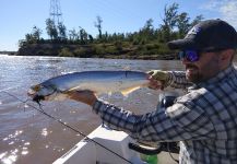  Fotografía de Pesca con Mosca de Raphiodon vulpinus compartida por Pablo Bianchini | Fly dreamers