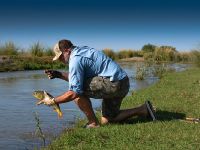 Fly fishing picture