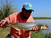 Fly fishing picture