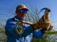 Fly fishing picture