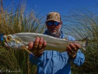 Fly fishing picture