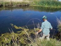 Foto de pesca con mosca