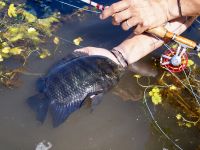 Foto de pesca con mosca