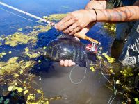 Foto de pesca con mosca