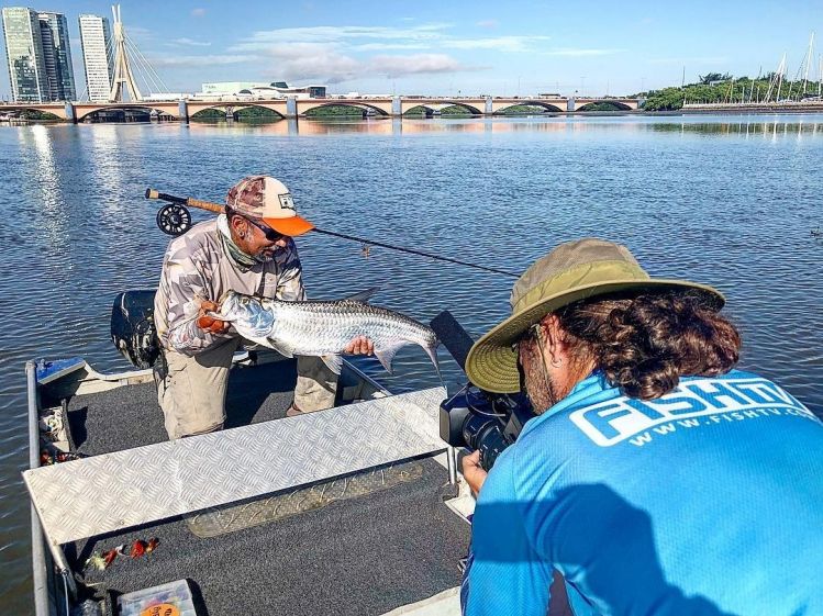 RECIFE TARPON IN ACTION!