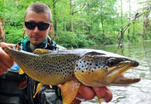 BERNET Valentin 's Fly-fishing Photo of a European brown trout | Fly dreamers 