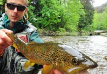 BERNET Valentin 's Fly-fishing Pic of a brown trout | Fly dreamers 