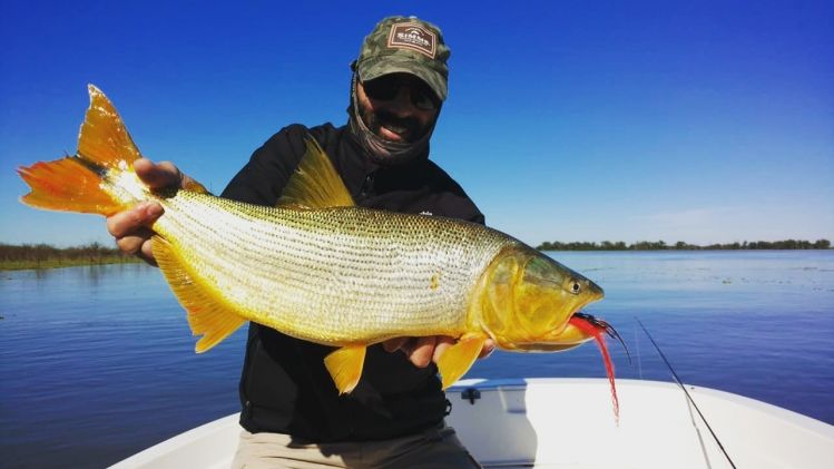 This time, the Ibicuy River borrowed me, for a few minutes, this nice Golden dorado! 