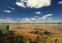 Fly-fishing Photo of Tiger of the River shared by Fergus Kelley | Fly dreamers 