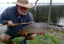  Captura de Pesca con Mosca de Crucian carp por Roberto Garcia | Fly dreamers