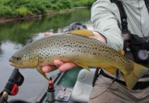 West Branch - Delaware River, New York, United States