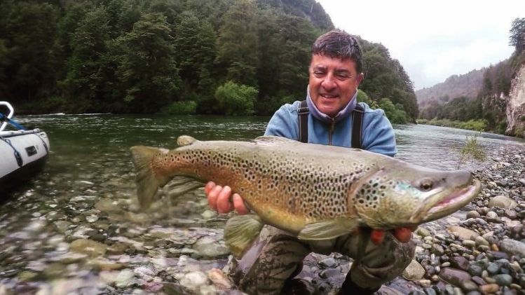 Aldo Zucchi "El Gaucho" #fiftyclub with #browntrout (73 cm) in #palenariver 