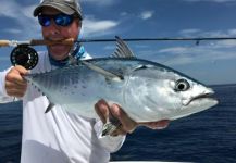 David Bullard 's Fly-fishing Catch of a False Albacore - Little Tunny | Fly dreamers 