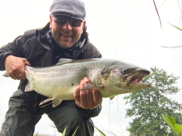 Salmon from Skjern River