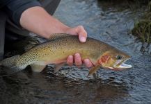 Travel: The Red Rock Ranch on the Snake River