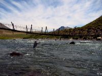 Foto de pesca con mosca