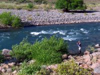 Foto de pesca con mosca