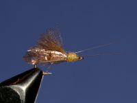 CADDIS