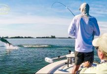 Epic Large Tarpon Battle on 8 weight