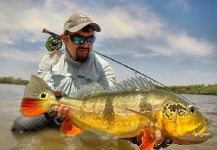  Foto de Pesca con Mosca de Tucunare - Pavón compartida por Juan Antonio Pérez Figueroa | Fly dreamers