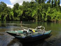 Foto de pesca con mosca