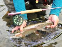 Foto de pesca con mosca