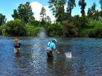 Foto de pesca con mosca