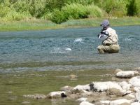 Fly fishing picture