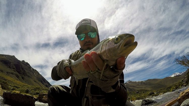 Trucha arcoiris pescada en arroyos de cordillera Mendocina