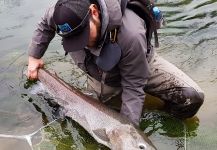 Fly-fishing Pic of River wolf shared by Uros Kristan | Fly dreamers 