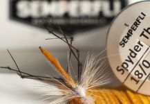 Fly-tying for Rainbow trout - Image by Pablo Matthews 