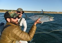 Fly-fishing Situation of False Albacore - Little Tunny - Photo shared by Vincent Catalano | Fly dreamers 