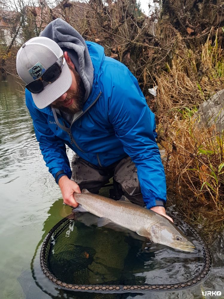 Tough day yesterday... Eight contacts with Huchen, two of them around 1m, but only this smaller one was willing to bite. #huchofever at best!